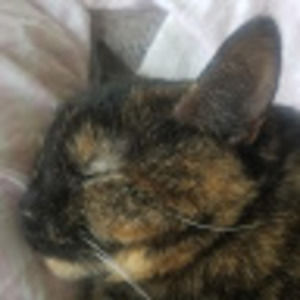 Meet your Posher, Tonya